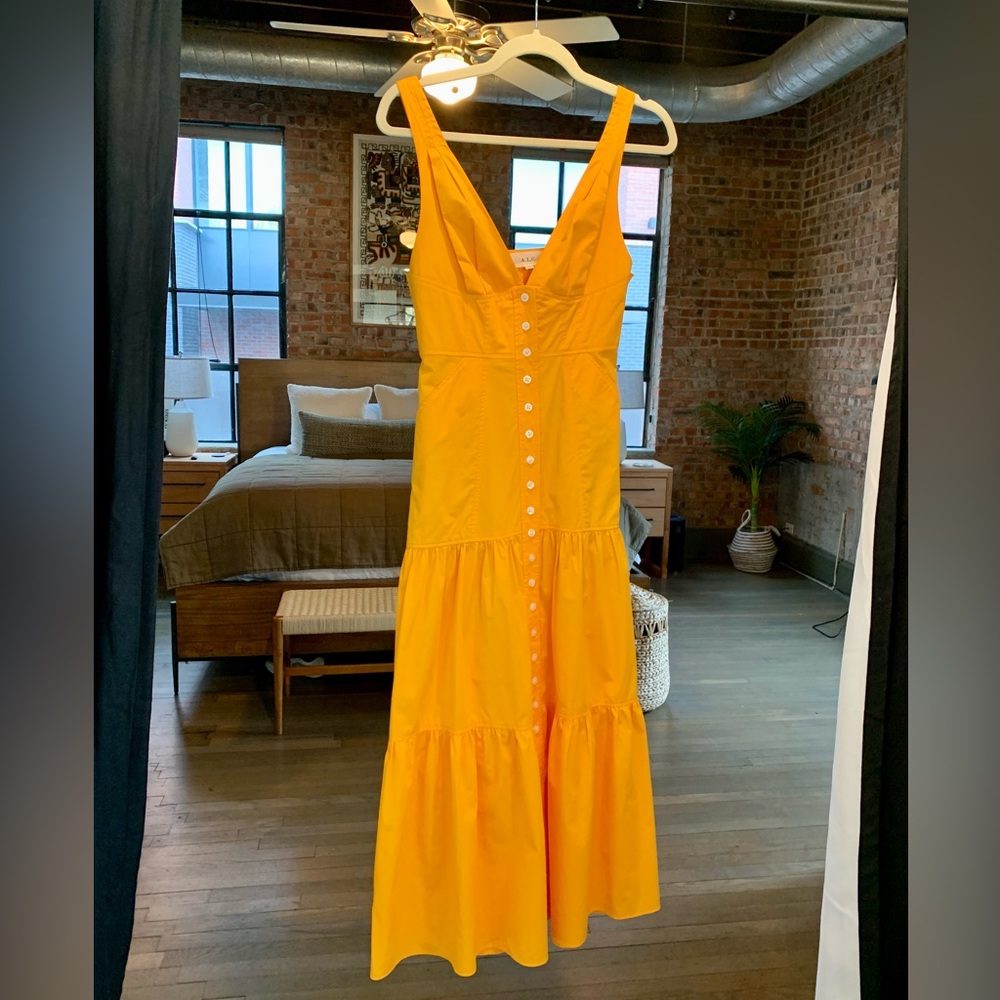 ALC 100% Cotton Tangerine Maxi Dress